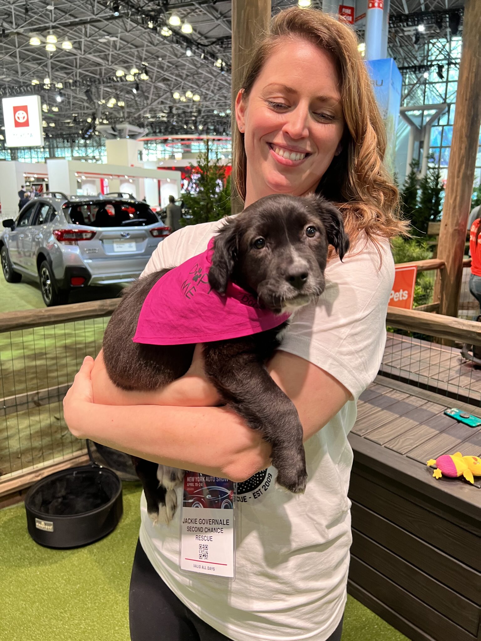 SUBARU LOVES PETS New York International Auto Show